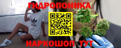 прущие крисы Комсомольск-на-Амуре