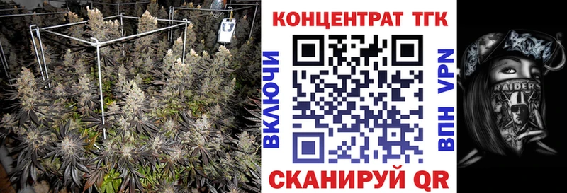 купить наркотики сайты  Новороссийск  МЕГА ONION  Дистиллят ТГК концентрат 