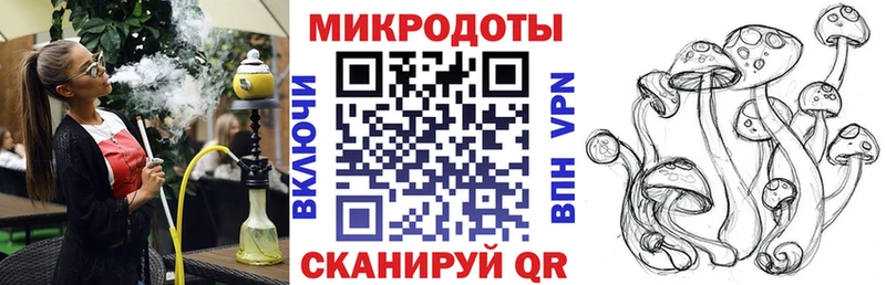 купить   Новороссийск  Галлюциногенные грибы прущие грибы 