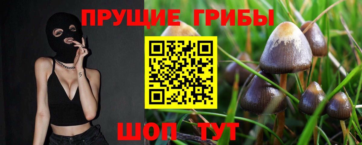 Псилоцибиновые грибы GOLDEN TEACHER  Вход с VPN  Галлюциногенные грибы GOLDEN TEACHER  Новороссийск 