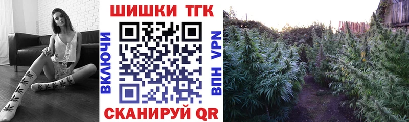 наркотики  Новороссийск  Бошки Шишки конопля 